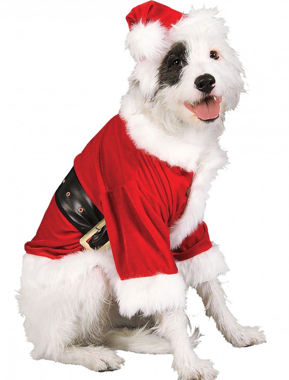 Santa Pet Costume buy now