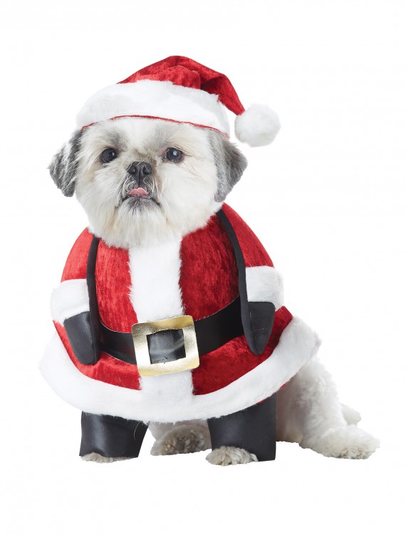Santa Pup Dog Costume buy now
