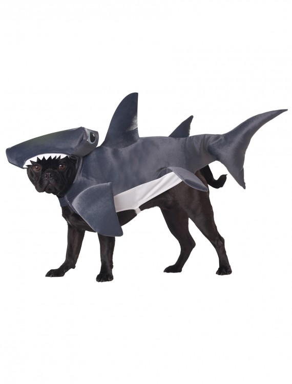 Shark Dog Costume buy now