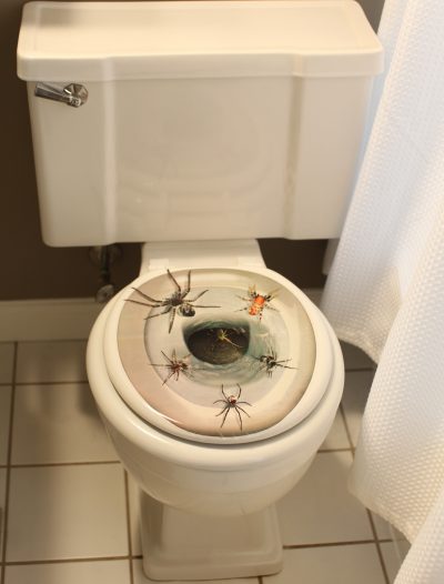 Spider Toilet Topper buy now