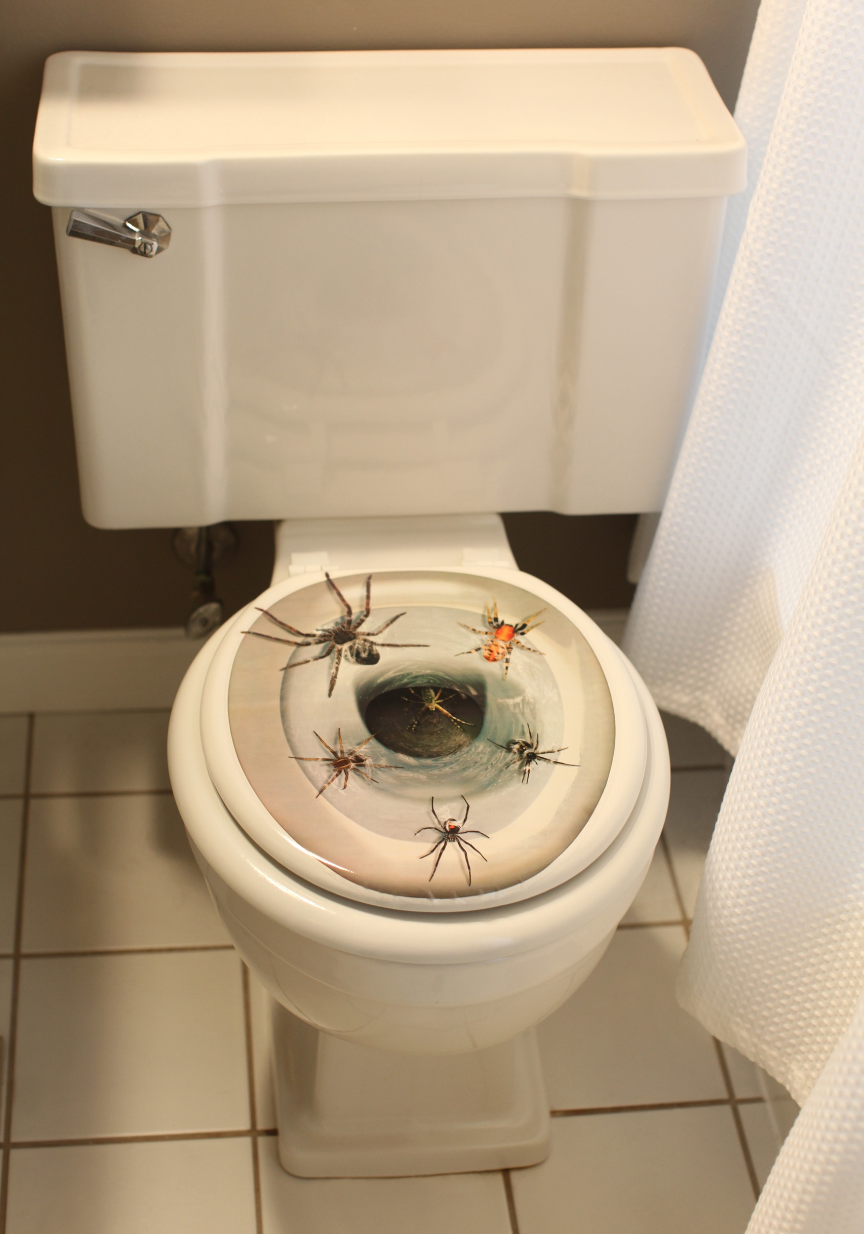 Спайдер туалет. Большой паук в унитазе.
