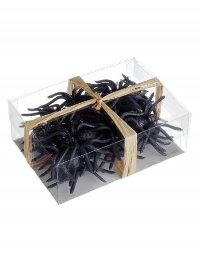 24 Rubber Spiders in a Box buy now