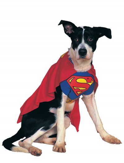Superman Dog Costume buy now