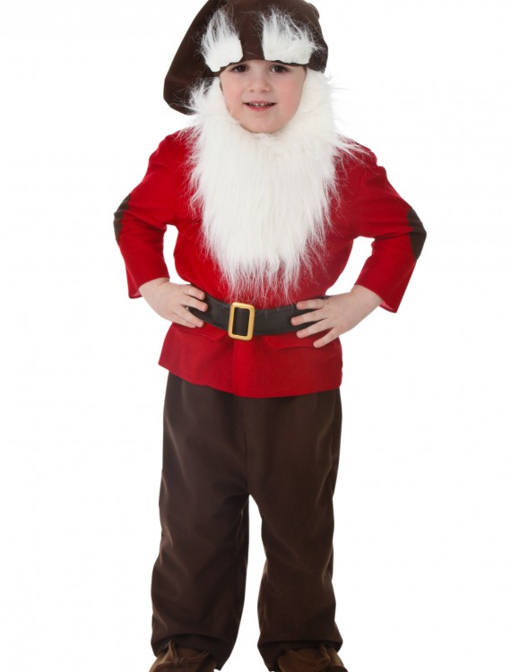 Toddler Dwarf Costume buy now