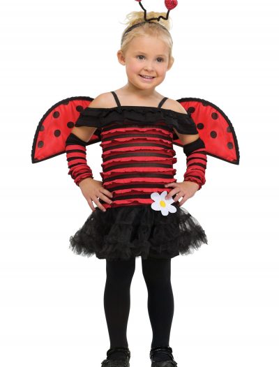 Toddler Little Lady Bug Costume buy now