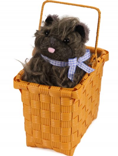 Toto in the Basket buy now