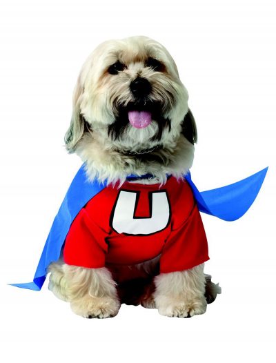 Underdog Dog Costume buy now
