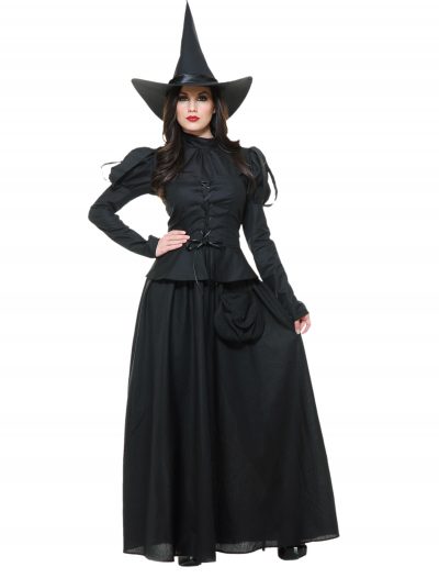 Heartless Witch Adult Costume buy now