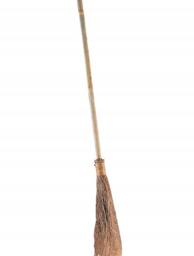 Wicked Witch Broom buy now