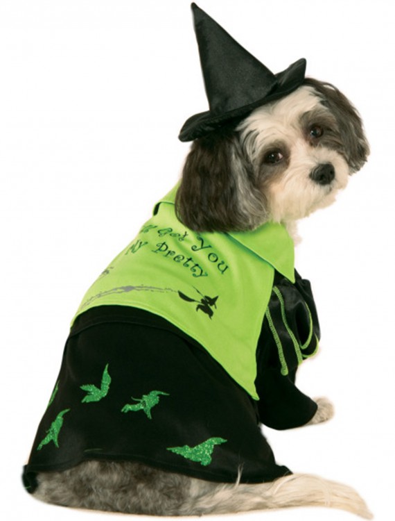 Wicked Witch of the West Pet Costume buy now