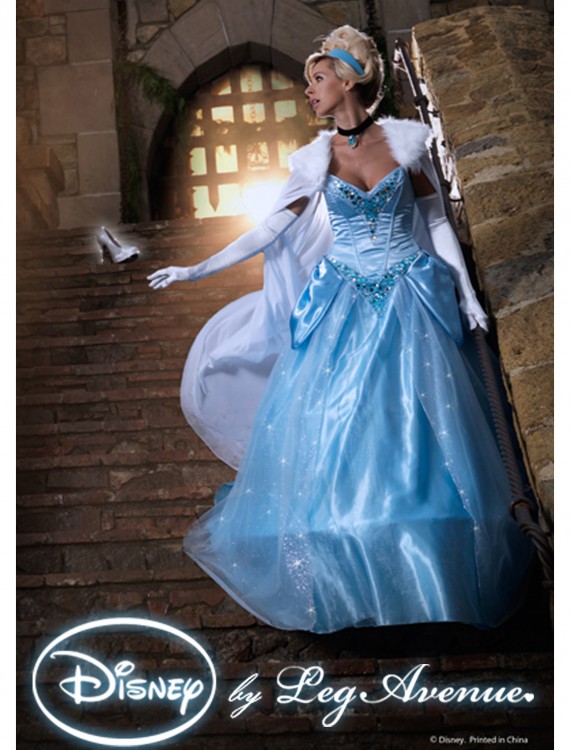 Womens Disney Deluxe Cinderella Costume buy now