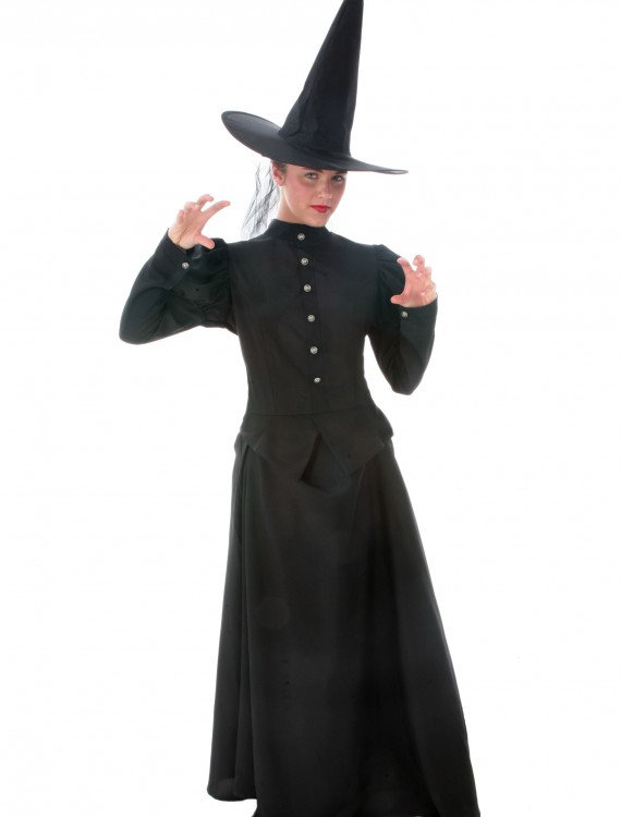 Women's Plus Size Witch Costume buy now